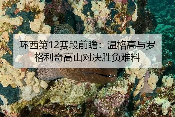 环西第12赛段前瞻：温格高与罗格利奇高山对决胜负难料