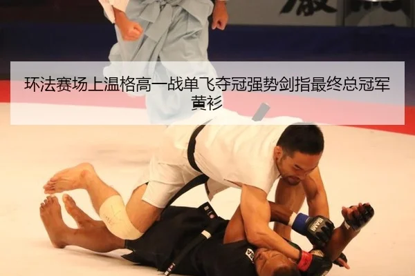 huan-fa-sai-chang-shang-wen-ge-gao-yi-zhan-dan-fei-duo-guan-qiang-shi-jian-zhi-zui-zhong-zong-guan-jun-huang-shan-3-427.jpg