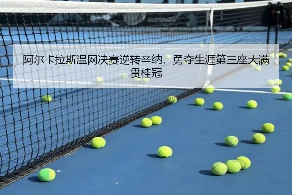 a-er-ka-la-si-wen-wang-jue-sai-ni-zhuan-xin-na-yong-duo-sheng-ya-di-san-zuo-da-man-guan-gui-guan-3-345.jpg
