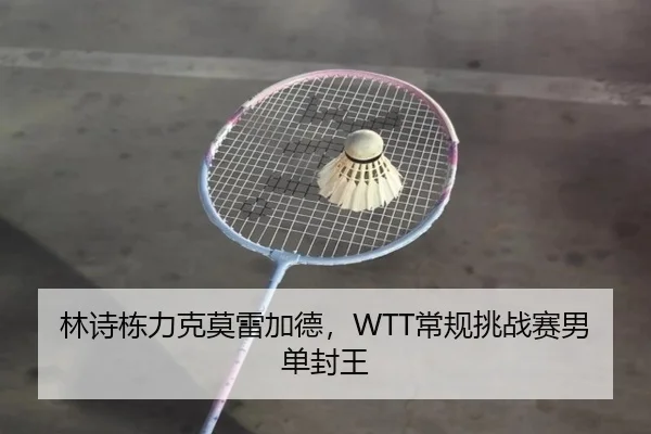 lin-shi-dong-li-ke-mo-lei-jia-de-chang-gui-tiao-zhan-sai-nan-dan-feng-wang-3-632.jpg